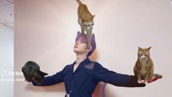 Entre memes, videos y fotos