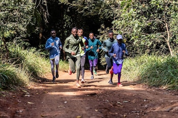 Seis personas con ropa deportiva corren por un camino de tierra rodeado de árboles y vegetación