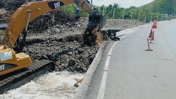 Paneles metálicos de construcción apilados en varias hileras sobre el suelo de tierra en una zona arbolada