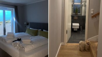 Al llegar al lugar, se