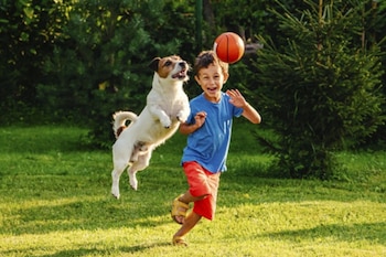 Estas son las razas más