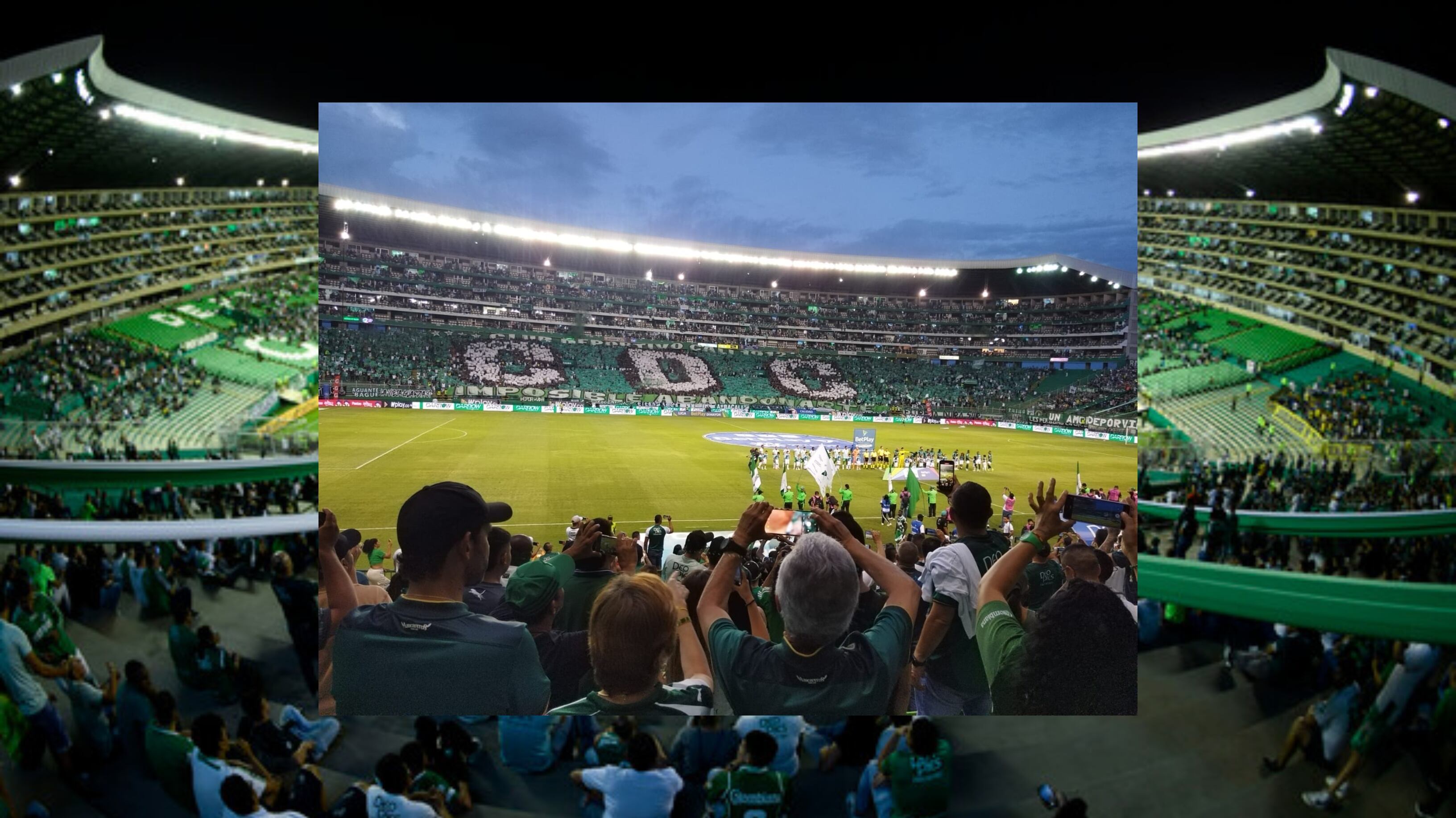 El Deportivo Cali ha sido uno de los equipos con mejor promedio de asistencia en el 2025 - crédito Colprensa y Redes Sociales