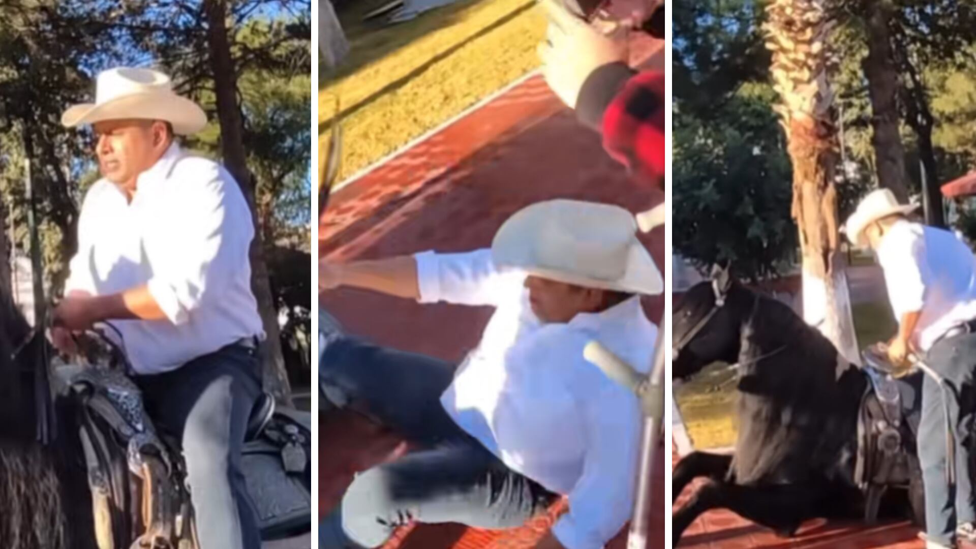 Diputado de MC, Alfredo Lozoya, conocido como “El Caballo”, tuvo un accidente con su caballo, tras el percance el legislador federal no tuvo mayor afectación. (Captura de pantalla)