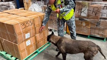 Cooperación entre aduanas de México y EEUU deriva en aseguramiento de 60 mil cajetillas de cigarros en el AIFA