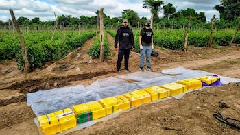 Alquilaban fincas en Salta para ocultar droga: tenían más de 170 kilos de cocaína enterrados en una plantación de tomates