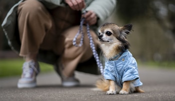 Especialistas advierten que la ropa