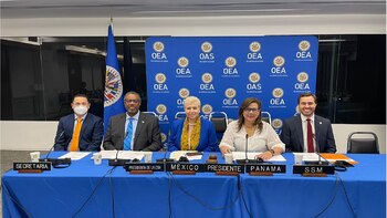 Escándalo en la OEA, embajadora