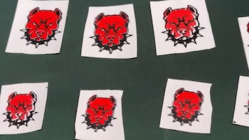 Múltiples stickers rectangulares con el dibujo de una cabeza de pitbull roja con collar de púas sobre una superficie verde oscura