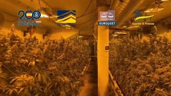 Casi 1.000 kilos de droga