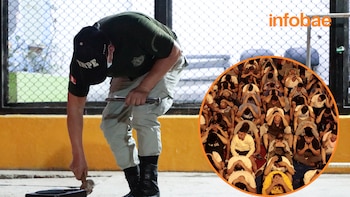 Penales como centros de crimen