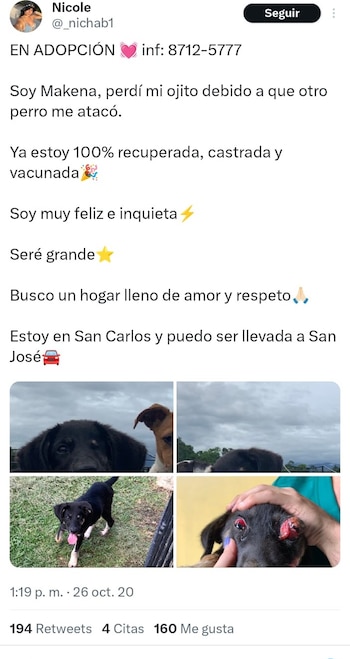 Trufa en realidad fue atacada