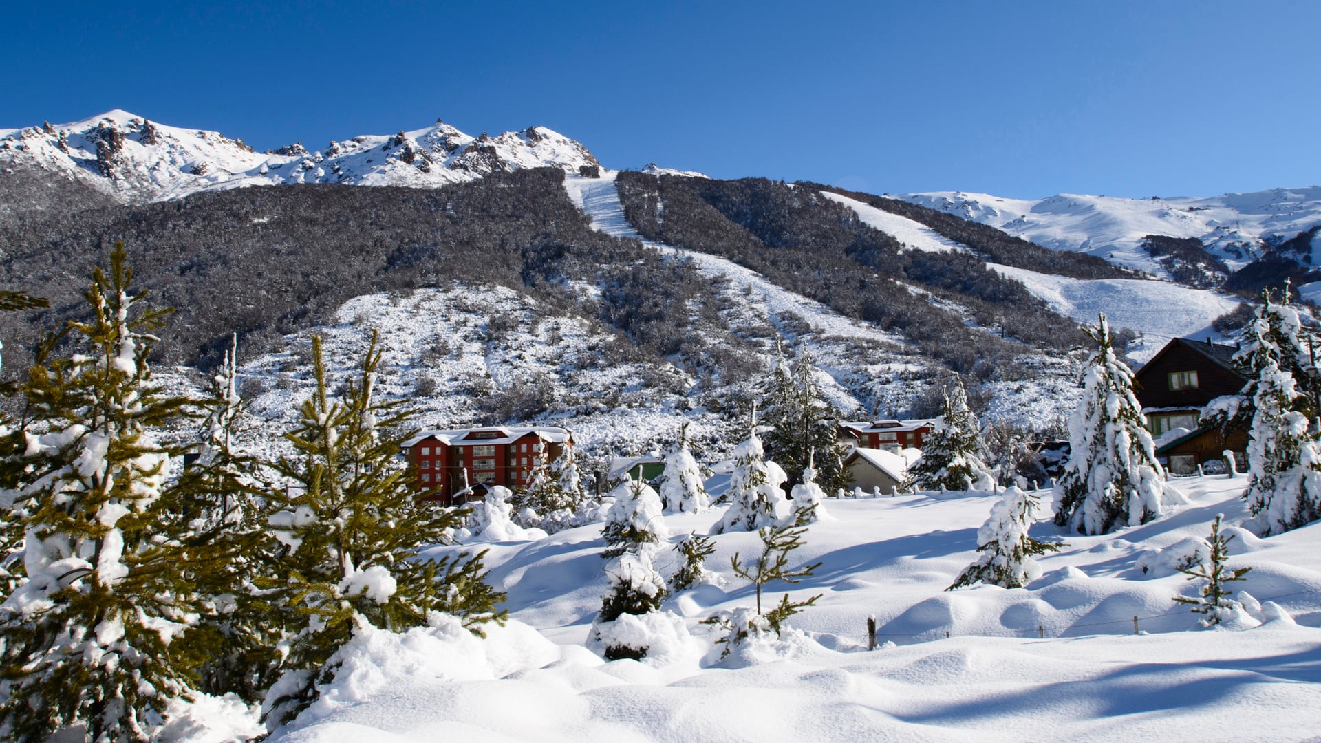 Bariloche volvió a encabezar las preferencias para las vacaciones de invierno, con paquetes familiares que superaron los $5,2 millones en avión para siete noches