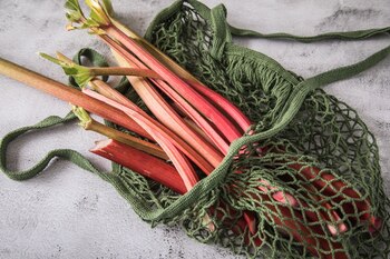 ILUSTRACIÓN - La frescura del ruibarbo se reconoce en sus tallos firmes y brillantes, así como en las superficies de corte aún húmedas. Foto: Christin Klose/dpa