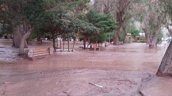 Al menos un muerto y