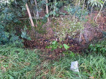 Al interior de una maleta