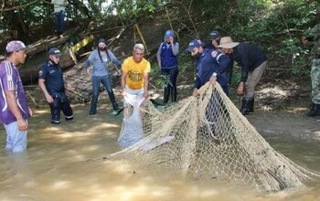 Cortesía Ejército Nacional