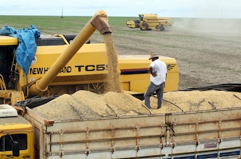 Los elevados precios de las