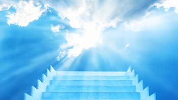 ¿Por qué el cerebro humano