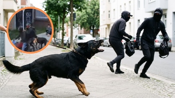 Valiente perro salvó a su dueño de ser atracado en Bogotá: en video quedó como atacó a uno de los ladrones