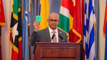 Albert R. Ramdin, secretario general de la OEA. (Foto: OEA)