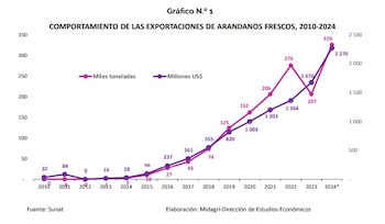 Arándanos en Perú. La innovación
