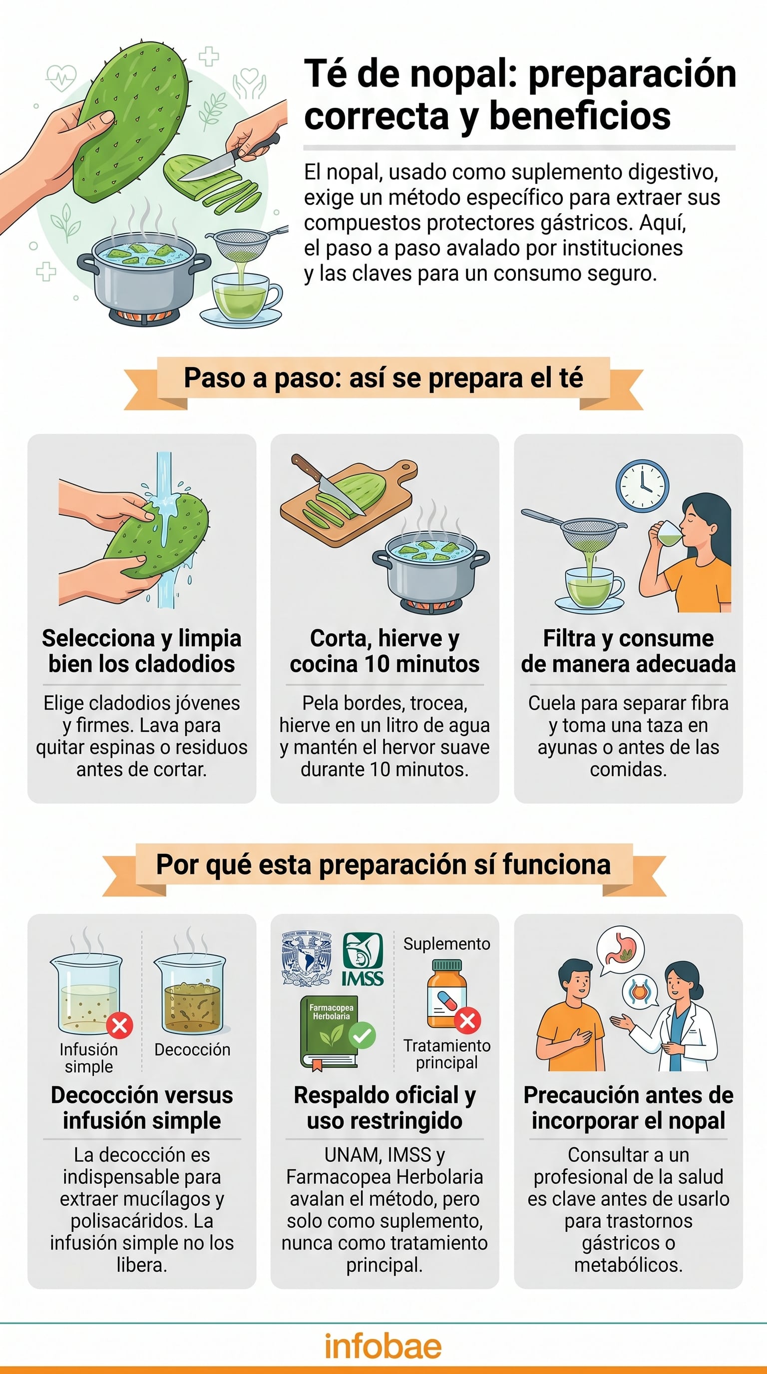 Infografía detallada sobre la preparación correcta del té de nopal para maximizar sus beneficios digestivos y la importancia de su uso como suplemento, no como tratamiento principal, respaldado por evidencia científica. (Imagen Ilustrativa Infobae)