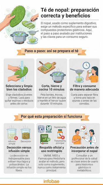 Infografía detallada sobre la preparación del té de nopal. Muestra el nopal, cuchillo, olla, colador, taza y una persona bebiendo, junto a texto explicativo.