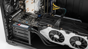 Su vecino le regaló una