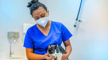 El Salvador: Hospital veterinario registra 6 millones de atenciones desde que abrió sus puertas