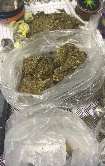 Los uniformados hallaron drogas como