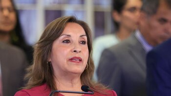 Tribunal Constitucional evaluará ley que