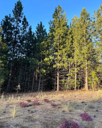 Las vacaciones de Gime Accardi