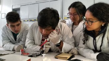 Sergio Triana trabaja con virus