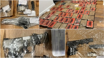 Esto fue lo que encontraron