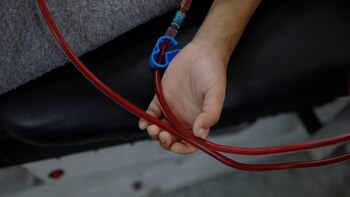 Científicos mexicanos crean tecnología que