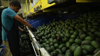 Los principales productos mexicanos enviados