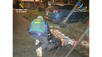 Dos detenidos tras intentar introducir