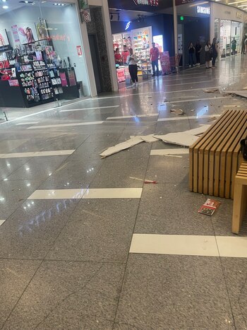 El fragmento de techo de