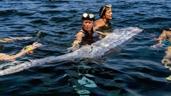 Dos mujeres con gafas de natación en la frente y otros nadadores flotan en aguas azules junto a un largo pez remo gigante plateado en la superficie
