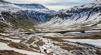 Valle montañoso con laderas cubiertas de nieve y parches de hierba seca, por donde serpentea un arroyo con agua de deshielo bajo un cielo parcialmente nublado.