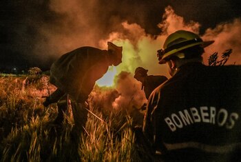 Bomberos y organismos provinciales intervienen