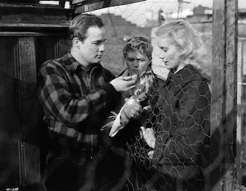 Eva Marie Saint junto a Marlon Brando en 'La ley del silencio', de Elia Kazan, su primera película y por la que ganaría el Oscar.