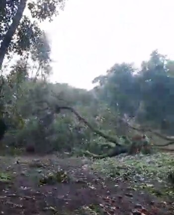 En uno de los videos