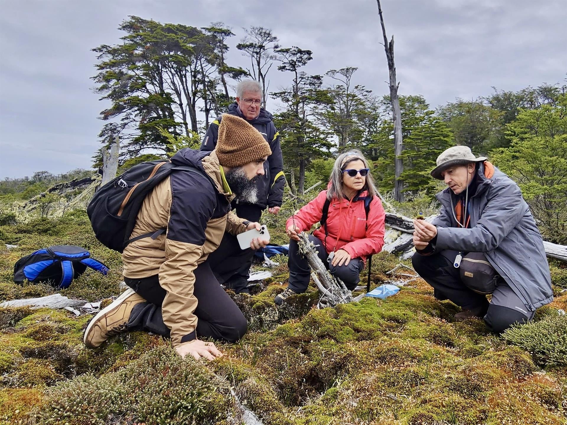 Investigadores de la UR estudian en Chile cómo logran las plantas resistir a la radiación ultravioleta extrema