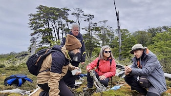 Investigadores de la UR estudian