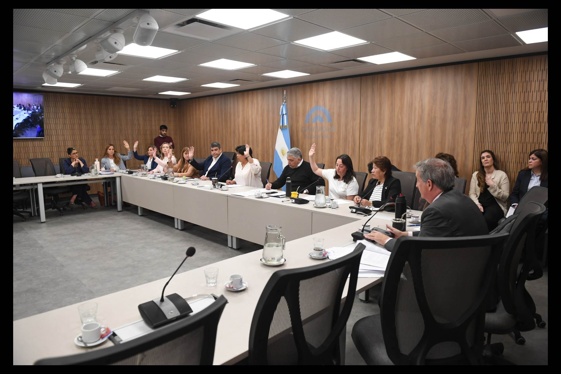 Reunión de la Comisión Bicameral Permanente del Defensor de los Derechos de Niñas, Niños y Adolescentes