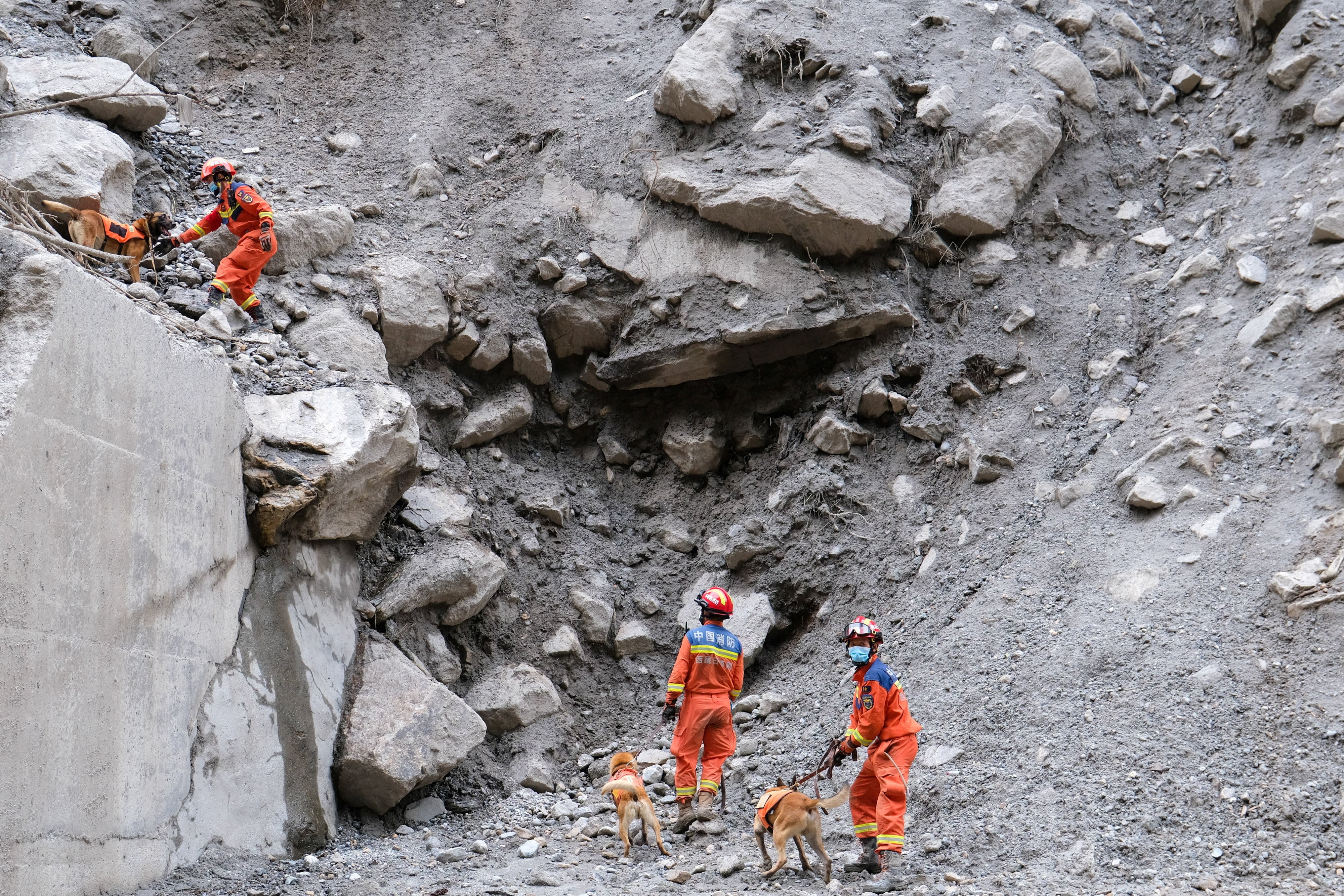 Los bomberos y perros rastreadores realizan una búsqueda de personas desaparecidas a lo largo de una carretera que conduce al Puerto de Gyirong, tras un deslizamiento de tierra, en Shigatse, Región Autónoma del Tíbet, China (cnsphoto vía REUTERS)