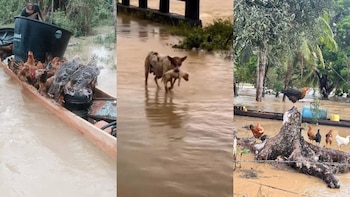 Emergencia invernal en Córdoba: Senado
