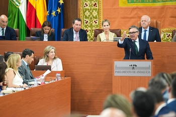 El portavoz de Vox en el Parlamento de Andalucía, Manuel Gavira (María José López - Europa Press)