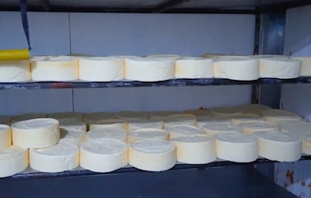 La planta de lácteos La Peraltica recibió inversión en equipamiento para fortalecer la producción local. Cortesía: Captura video redes sociales Presidencia de la República